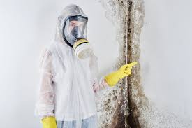 Professional Mold Removal & Remediation in South Valley Stream, NY